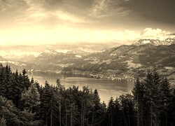 Sepia