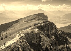 Szary + Sepia