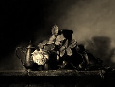 Szary + Sepia