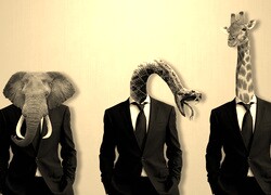 Szary + Sepia