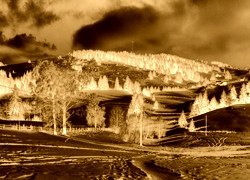 Sepia + Negatyw