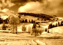 Sepia