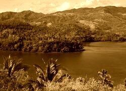 Sepia