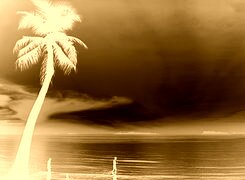 Sepia + Negatyw