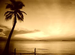 Sepia