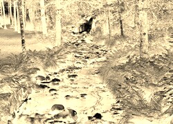 Sepia + Negatyw