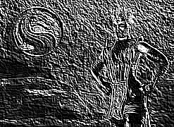 Skamielina