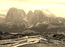 Szary + Sepia
