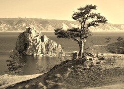 Szary + Sepia