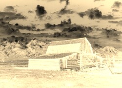 Sepia + Negatyw