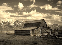 Szary + Sepia