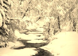 Szary + Sepia