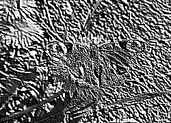 Skamielina