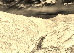 Sepia + Negatyw