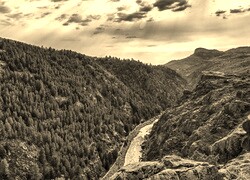 Sepia