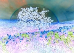 Negatyw