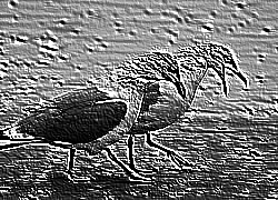 Skamielina