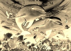 Sepia + Negatyw