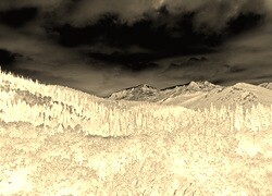 Sepia + Negatyw