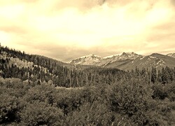 Szary + Sepia