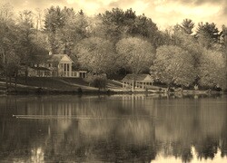 Szary + Sepia