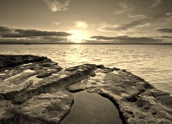 Szary + Sepia