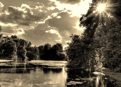 Szary + Sepia