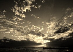 Szary + Sepia