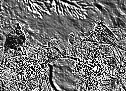 Skamielina