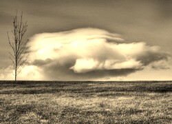 Szary + Sepia