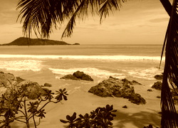 Sepia