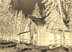 Sepia + Negatyw