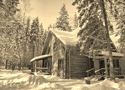 Sepia