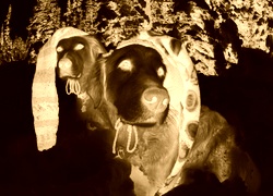 Sepia + Negatyw