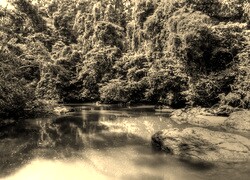 Sepia