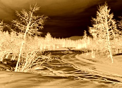 Sepia + Negatyw