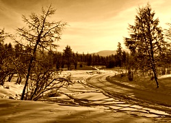Sepia
