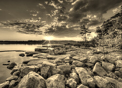 Szary + Sepia