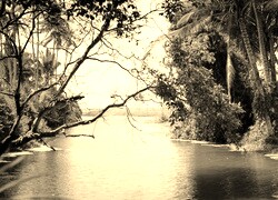 Sepia