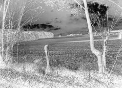 Szary + Negatyw