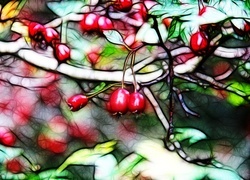 Oryginalny obrazek