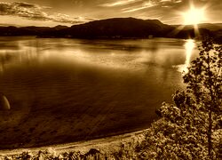 Sepia
