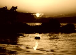 Sepia