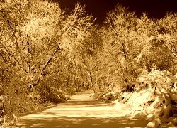 Sepia