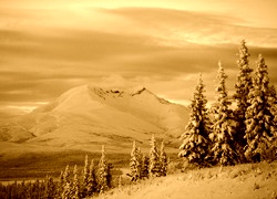 Sepia