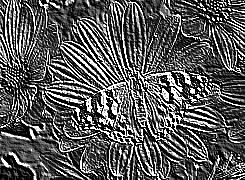 Skamielina