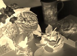 Sepia + Negatyw