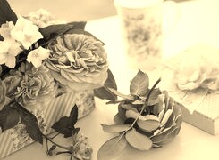 Sepia