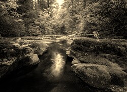 Sepia