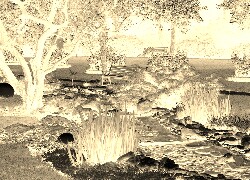 Sepia + Negatyw